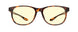 02301 - Tortoise - Amber Neutral-Focus