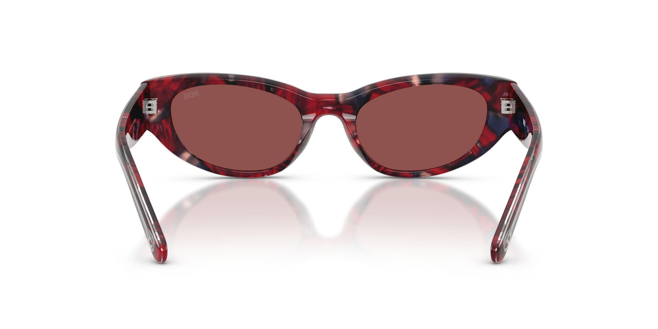 204075 - Tortoise - Dark Violet