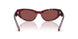 204075 - Tortoise - Dark Violet