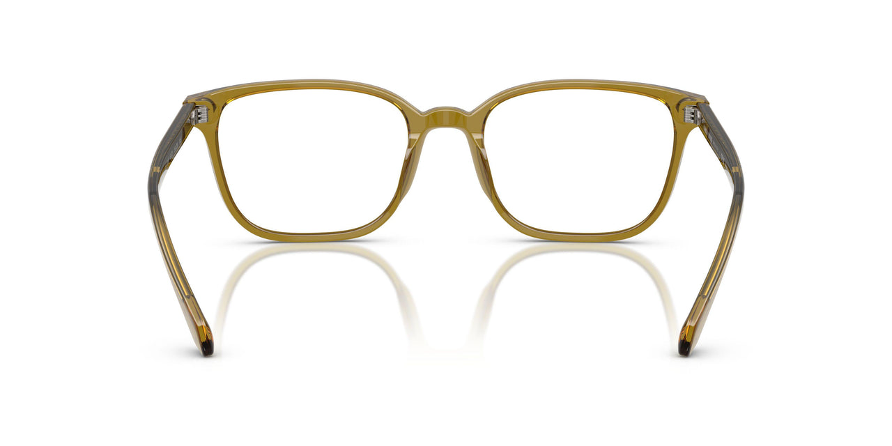 6172 - Brown