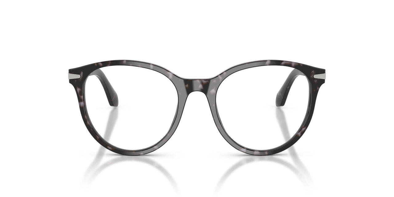 6236 - Tortoise