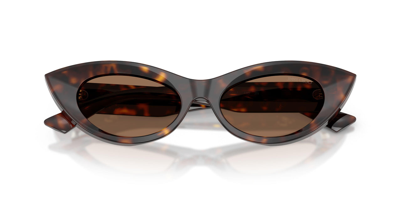 500273 - Tortoise - Dark Brown