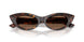 500273 - Tortoise - Dark Brown