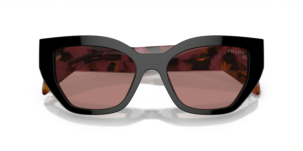 12O10D - Violet - Light Brown