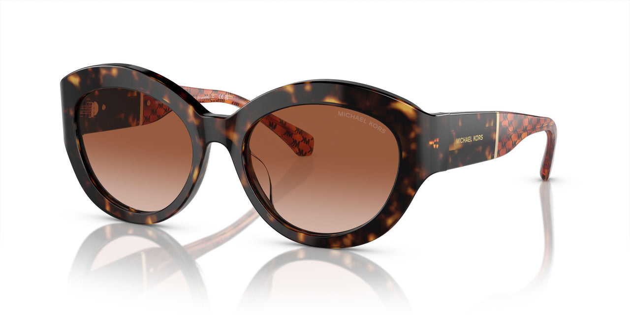 300613 - Tortoise - Brown Gradient