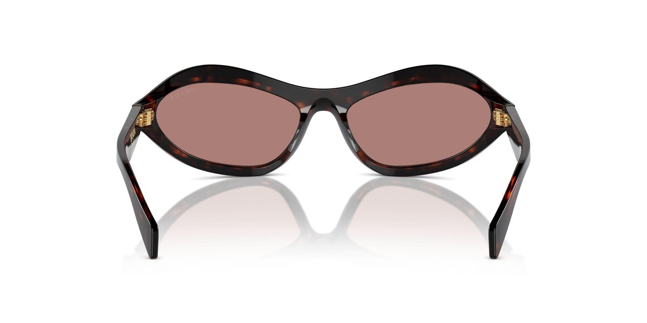 17N10D - Tortoise - Light Brown