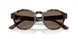 502673 - Brown - Dark Brown