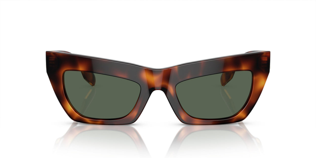 331671 - Tortoise - Dark Green