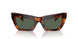 331671 - Tortoise - Dark Green
