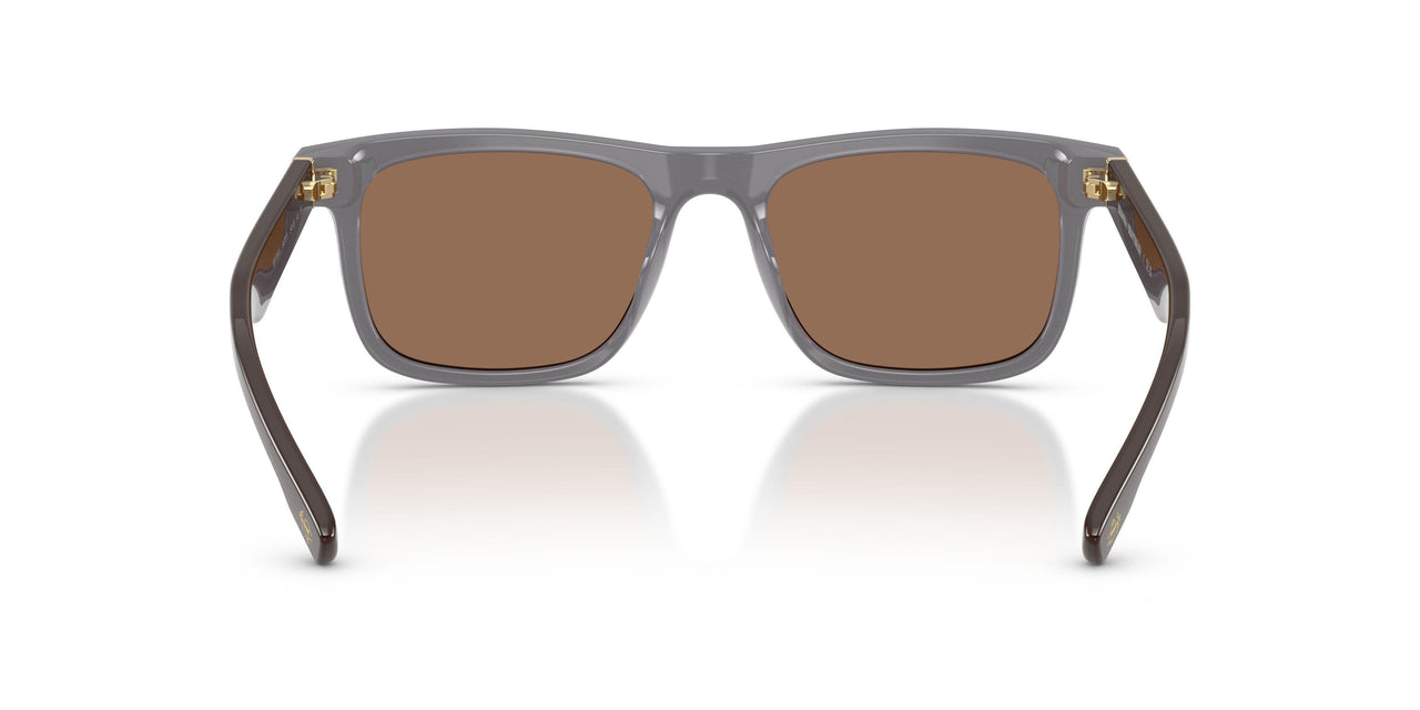 617773 - Brown - Brown
