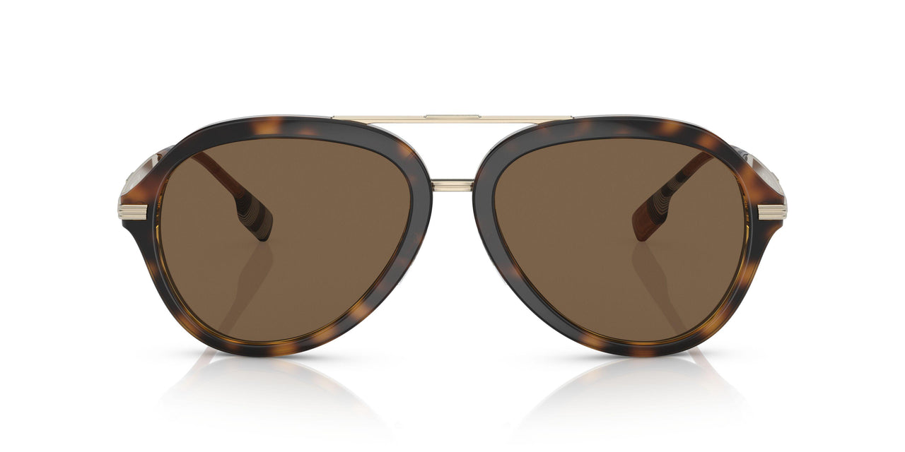 300273 - Havana - Dark Brown