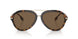 300273 - Havana - Dark Brown