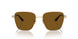 300683 - Gold - Polarized Brown
