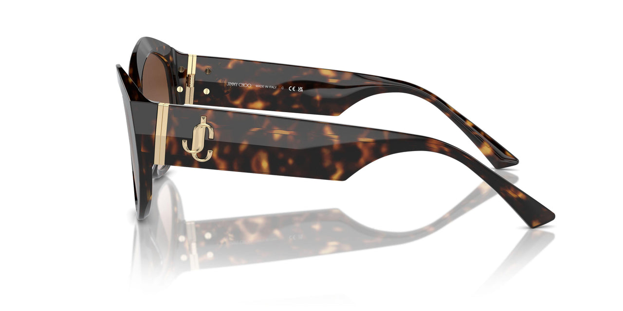 500213 - Tortoise - Gradient Brown