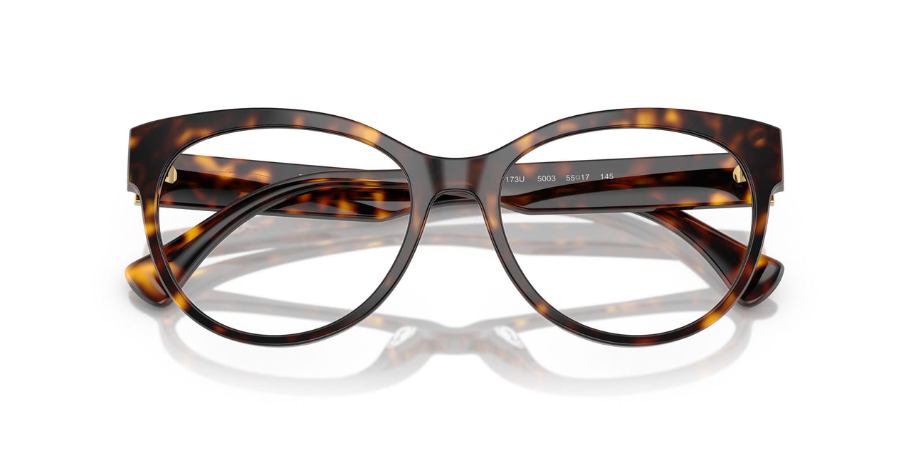 5003 - Tortoise
