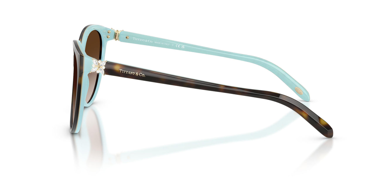81343B - Havana - Brown Gradient