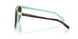 81343B - Havana - Brown Gradient