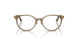 5051 - Brown