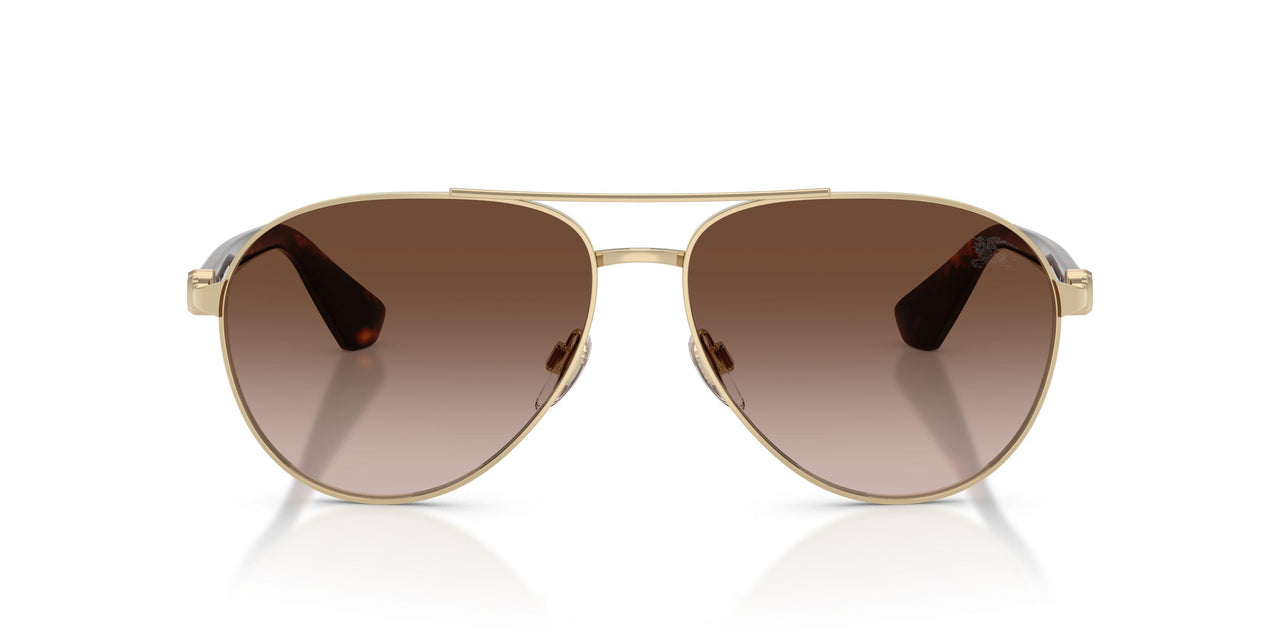 110913 - Gold - Brown Gradient