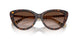421613 - Brown - Brown Gradient