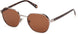 Guess 00116 Sunglasses