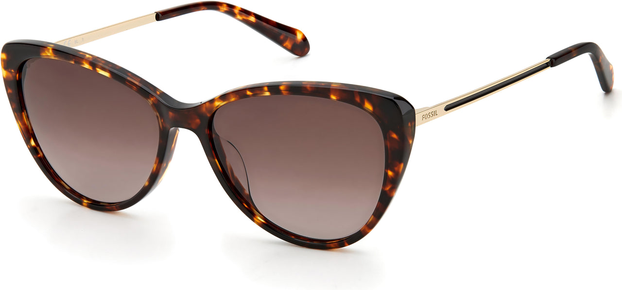 0086-HA - Havana - Brown Gradient