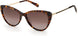 0086-HA - Havana - Brown Gradient
