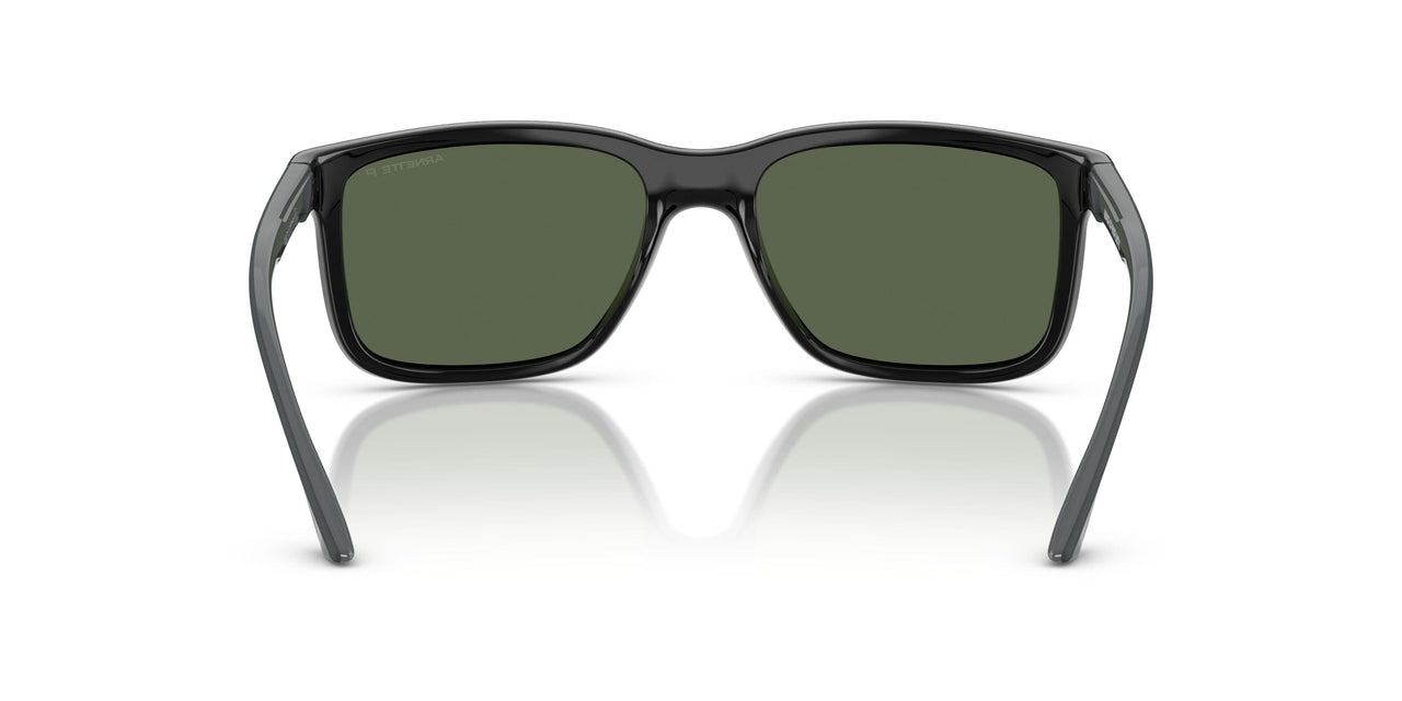 29919A - Black - Dark Green Polar
