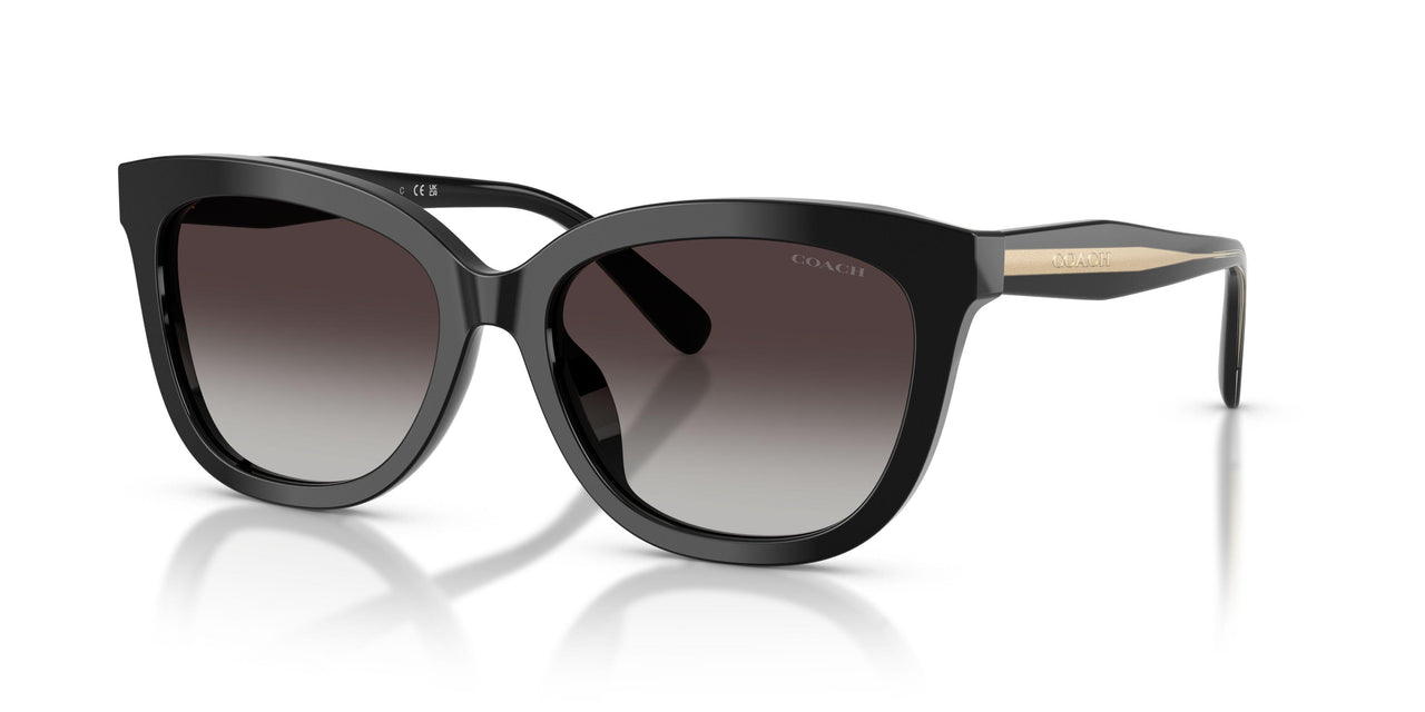 50028G - Black - Grey Gradient