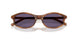 25O70W - Brown - Violet