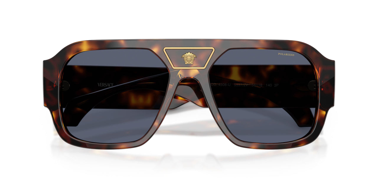 55372V - Tortoise - Dark Blue Polar