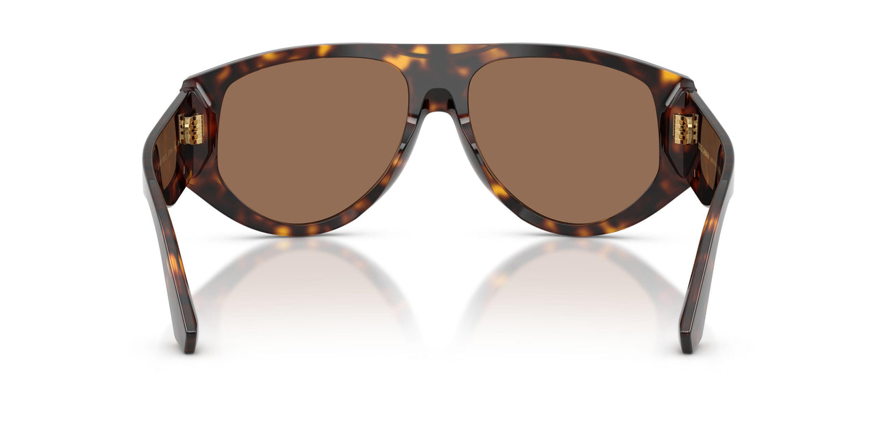 502/73 - Tortoise - Dark Brown