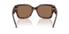 624173 - Tortoise - Brown