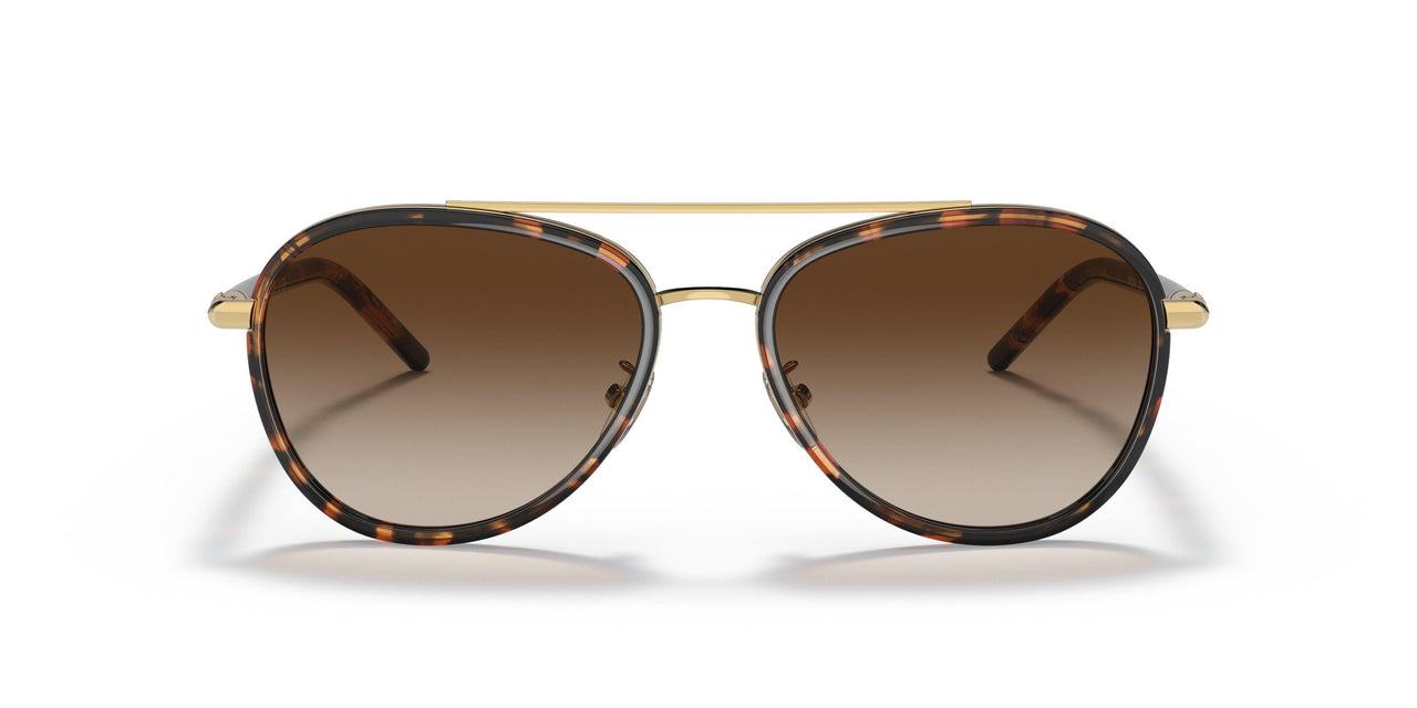 330413 - Havana - Brown Gradient