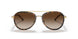 330413 - Havana - Brown Gradient