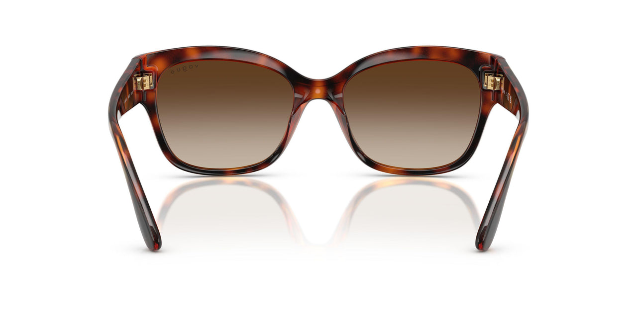 W65613 - Brown - Brown Gradient