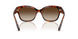 W65613 - Brown - Brown Gradient
