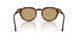 639473 - Brown - Brown