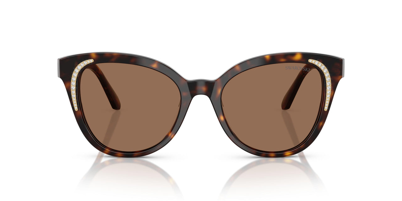 100273 - Brown - Dark Brown