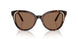 100273 - Brown - Dark Brown