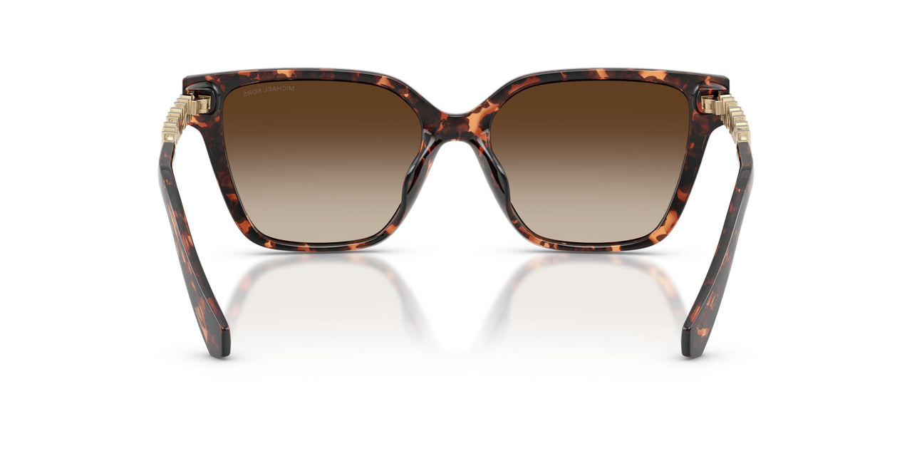 300613 - Tortoise - Smoke Gradient