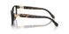 3953 - Amazon Green Tortoise
