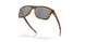 910018 - Brown - Prizm Black Polarized