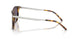 51341A - Tortoise - Purple