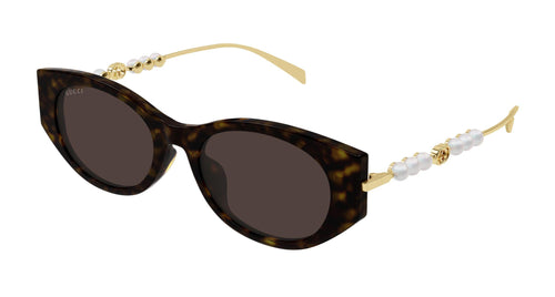 003 - Havana/Gold - Brown