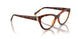 W656 - Brown