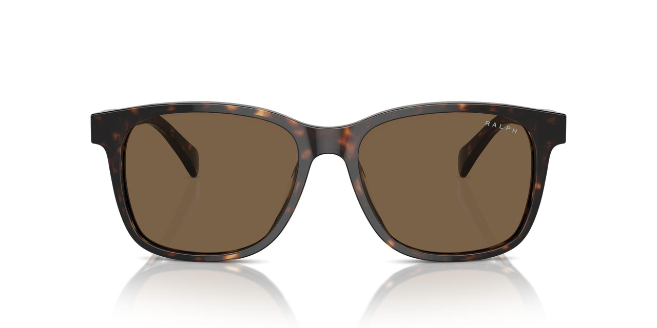 500373 - Brown - Brown