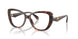 4031 - Tortoise