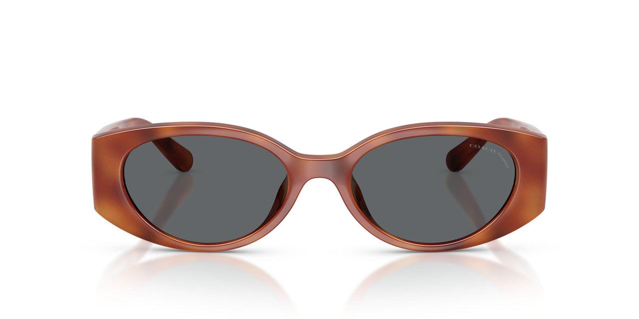 577481 - Tortoise - Grey Solid Polarized