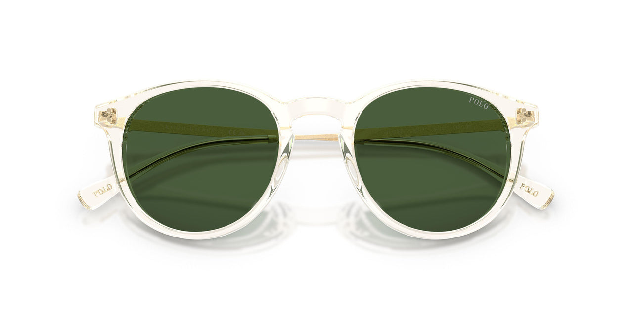 635771 - Yellow - Dark Green